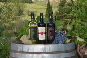 Peccioli: Erlebnis Weinverkostung