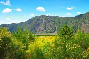 Wycieczka do Pompejów, Herkulanum i Wezuwiusza