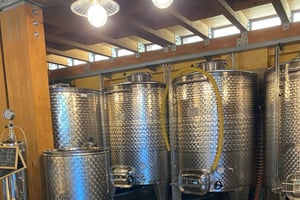 Pompeje i Wezuwiusz: wycieczka 1-dniowa z Rzymu