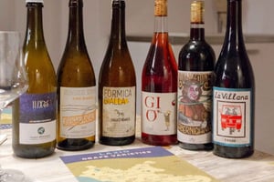 Rome: Guided Tasting of Natural Lazio Wines