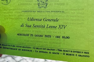 Roma: Guidet tur til pavens audiens på Petersplassen