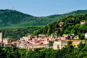 Rom: Privat 6-timmarsresa med chaufför Castelli Romani och sjöar