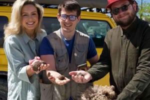 Toscana, Crete Senesi: tryffelinetsintäretki