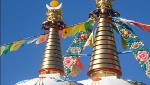 The Day the Sunshine Coast Turned Orange