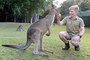 From Sunshine Coast: Australia Zoo Entry Ticket and Transfer