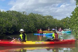 Noosa River: Mangroves and Mansions Guided Kayak Tour