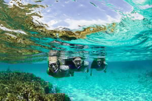 Mooloolaba: Snorkel with Turtles Mudjimba Island
