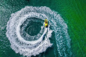 Noosa Ocean adventure & Dolphin Safari.