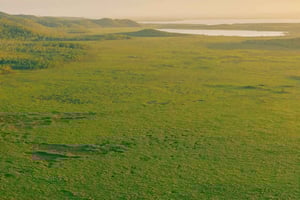 Noosa: Everglades Explorer Cruise