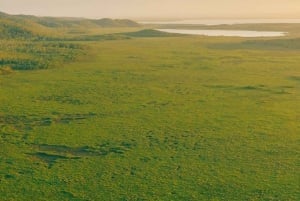 Noosa: Everglades Explorer -risteily