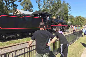 Noosa: Mary Valley Tour with Mary Valley Rattler and Lunch