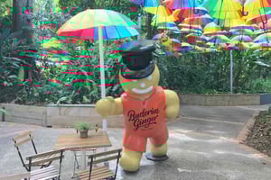 Sunshine Coast: Ginger Factory, Eumundi, & Botanic Gardens