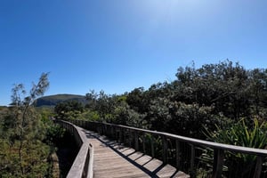 Sunshine Coast: Easy Peasy Novotel North E-Bike Tour