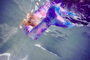 Sunshine Coast: Mermaid Swim Experience