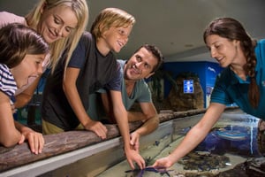 Sunshine Coast: SEA LIFE Sunshine Coast Entry Ticket