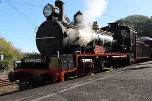 Sunshine Coast: VIP Booth Shared Mary Valley Rattler