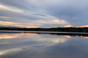 Tasty Noosa Everglades