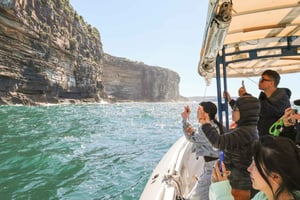 2-stündige Express-Bootstour vor der Küste von Bondi