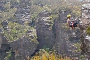Blue Mountains: Mountains Mountains: Abseiling and Canyoning Experience