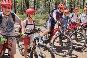 Blue Mountains: Guidet mountain e-Bike Tour, Blue Labyrinth