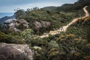 Góry Błękitne: górska przejażdżka rowerem elektrycznym, płaskowyż wąskiej szyi