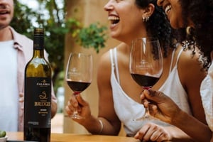 Combo: Sydney Hop-on-Hop-off bussilippu: Hunter Valley Tour + Sydney Hop-on-Hop-off bussilippu