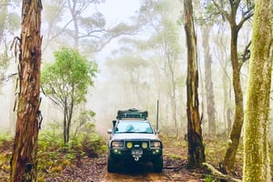 De Sydney: acampamento de 2 dias nas Blue Mountains 4WD e cruzeiro no rio