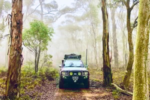 Fra Sydney: 2-dagers Blue Mountains Camping 4WD og elvecruise