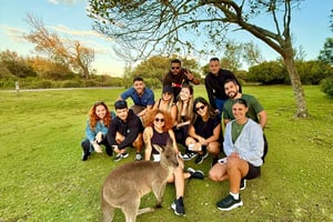 Fra Sydney: dagsomvisning i Jervis Bay, Kiama og South Coast