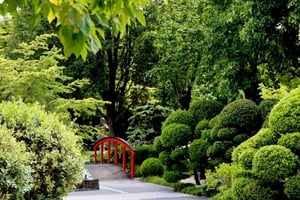 Hunter Valley Wine & Cheese Tasting Tour Sydneystä käsin