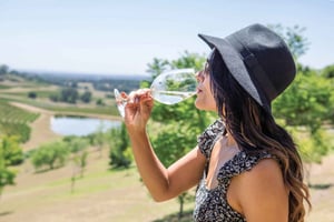 Hunter Valley: viiniretki, 3 maistiaista ja lounas puutarhassa