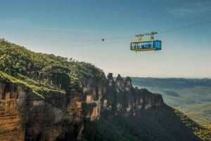 Katoomba: Lyrebird Hop-On Hop-Off ja Scenic World Pass (maisemallinen maailmanpassi)