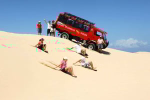 Sydney: Observação de golfinhos em Port Stephens e excursão de um dia às dunas de areia