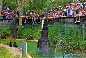 Somersby Pase de un día para el Parque Australiano de Reptiles - de 9 a 17 h