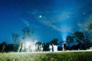 Det sydlige højland: Natlig oplevelse af dyrelivet