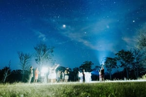 Les Hautes Terres du Sud : Expérience de la faune nocturne