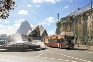 Sydney: Wycieczka autobusowa hop-on hop-off z opcjonalnym rejsem wycieczkowym
