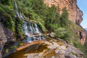 Sydney: Blue Mountains and F. Wildlife Park - Private Tour