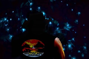 Sydney: Blue Mountains Glühwürmchen Wildes Abenteuer bei Nacht