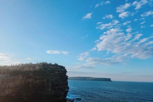 Visite privée de la côte est de Sydney