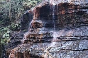 Sydney: Privat tur til Blue Mountains på engelsk eller tysk