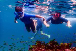 シドニーシュノーケリングツアー