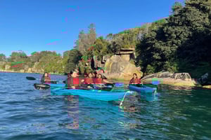 Sydney: Rondleiding in een kajak over de stranden van Manly Cove