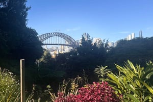 Sydney: kävelykierros, jossa on satamanäkymät ja salaisia tarinoita