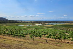 Sydney Hunter Valley Tour