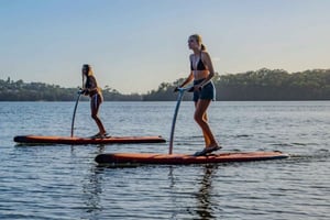 Sydney: Narrabeen Lagoon Sunrise SUP en ontbijt