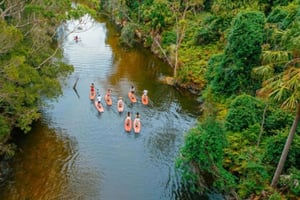 Sydney: Narrabeen Lagoon SUP-tour met instructeur