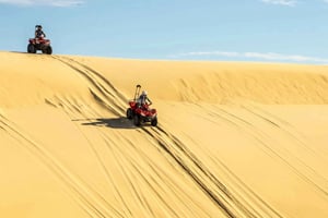 Sydney: Port Stephens Yksityinen päiväretki