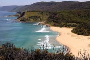 Sydney: Royal National Park private Tour für einen Tag