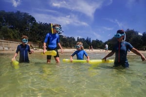 Sydney: Snorkeling Tour dla dzieci z prywatnym przewodnikiem